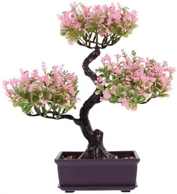 Zdjęcie produktu dla Roślina bonsai w doniczce – realistyczna, łatwa w pielęgnacji, dekoracyjna