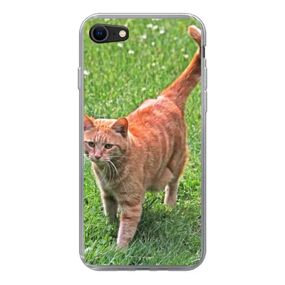 Produktbild von MuchoWow® Handyhülle Schutzhülle Hülle für iPhone SE 2020 Katze - Rot - Katze - Mädchen - Kinder - Jungen - Kind Silikon Softcase Handy Hülle - Kartenbesitzer