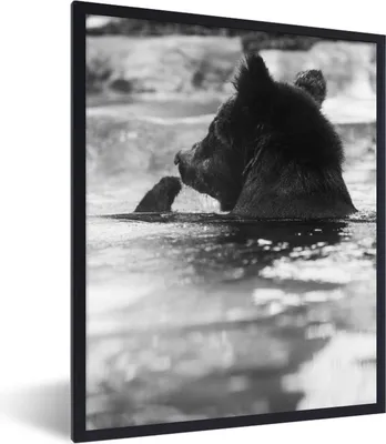 Produktbild von MuchoWow® MuchoWow® Gerahmtes Poster Bär - Eiscreme - Wasser 60x80 cm - Poster mit zchwarzem Bilderrahmen - Premium - Wanddeko Wohnzimmer