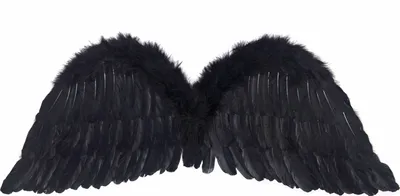 Image de Ailes d'ange 30x75cm à attacher Noir
