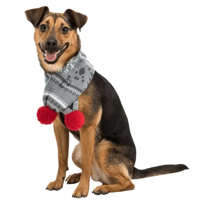 Image de Trixie écharpe de Noël gris/blanc M 70cm