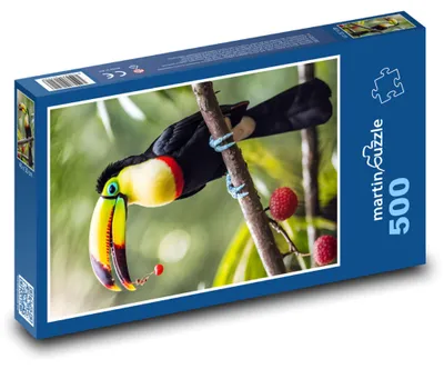 Zdjęcie produktu dla Puzzle 500 Tukan w tropikalnym lesie - martinpuzzle