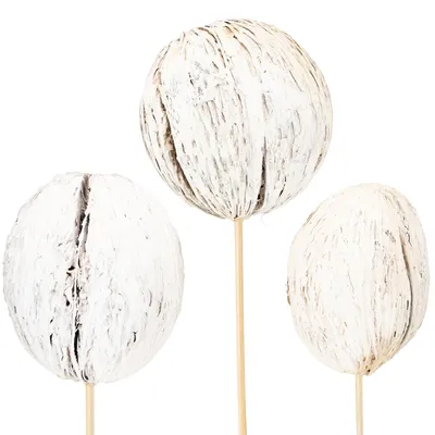 Produktbild von Dekorative Holzkugeln auf Stiel aus exotischen Naturmaterialien, 6 Stück