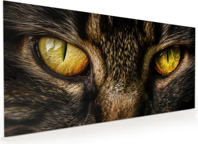 Produktbild von Küchenrückwand Spritzschutz Glas mit Motiv Katzenaugencloseup 40 x 40 cm