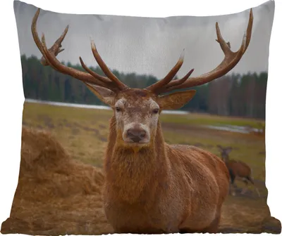 Produktbild von MuchoWow® Outdoor Kissen - Rotwild - Natur - Wiese - 45x45 cm - Wetterfest - Lounge Kissen - Fotokissen - Dekoratives Kissen