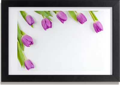 Produktbild von Bild 30x20 MDF-Rahmen, Wandkunst lila Tulpen
