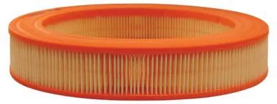 Obrázok produktu pre Vzduchový filter FILTRON AR 227