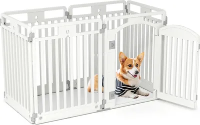 A white dog playpen with a corgi inside.