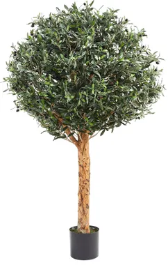 Produktbild von aplanta Künstlicher Olivenbaum – Eleutherios | 180 cm, Echtholzstamm, UV-beständig, für drinnen, Kunstbaum, wie echt, Allergiker geeignet, pflanzliche Dekoration Praxis, Office & Wohnzimmer