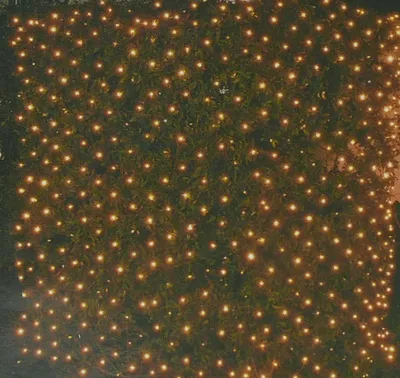 Productafbeelding van Netverlichting 256 lampjes 200x140 cm LED warm wit CoenBakker