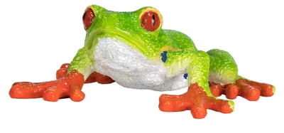 Produktbild von Mojo Wildlife Roodoog Boomkikker 387299