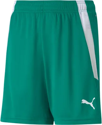 Immagine prodotto di Pantaloni Puma Teamliga 70493105