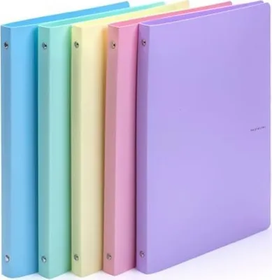 A row of pastel-colored ring binders.