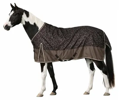 Productafbeelding van Ademend Waterdichte Regendeken voor Paarden 125-165cm