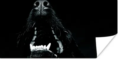 Produktbild von MuchoWow® Poster Tierprofil Hund mit offenem Maul in schwarz und weiß 40x20 cm - Poster für die Wand - Poster Schlafzimmer