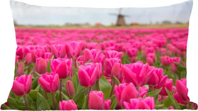 Produktbild von MuchoWow® Zierkissen Sofakissen Wohnzimmer Dekokissen 60x40 cm Rosa Tulpen und Windmühle - Kopfkissen - Polster mit Foto