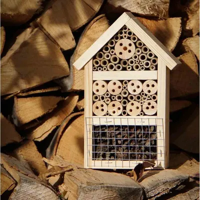 Image de Siena Garden Hôtel pour insectes 20x10x29cm