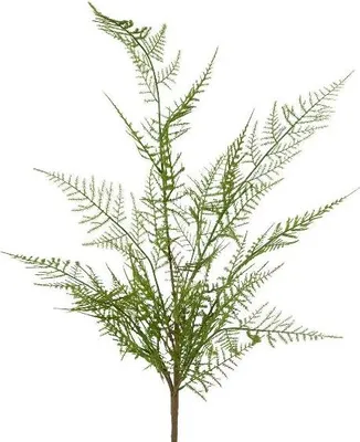 Produktbild von artplants.de Künstlicher Zweig Schildfarn FRENOR, grün, 60cm - Deko Farnzweig