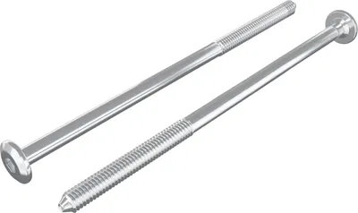 Obrázok produktu pre vidaXL Nábytkové skrutky 2 ks strieborné M6 x 120 mm oceľ