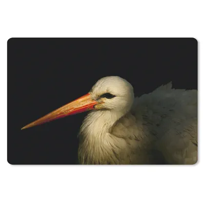 Produktbild von MuchoWow® Schreibtischunterlage Vogel - Schnabel - Federn 60x40 cm - XXL Mauspad - Großes Mauspad