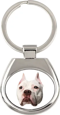 Immagine prodotto di Pit Bull, American Pit Bull Terrier, Pitbull, APBT - portachiavi geometrico con foto e scritta Art-Dog