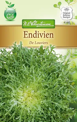 Produktbild von Endivie de Louviers | Endiviensalatsamen von N.L. Chrestensen