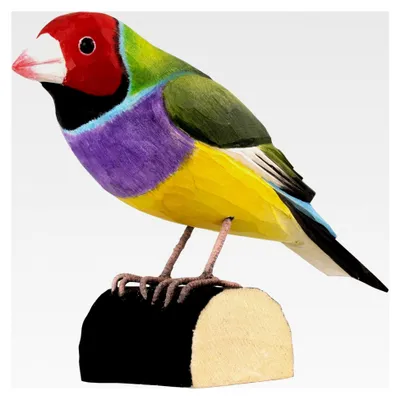 Produktbild von Dekorationsvogel Gouldamadine - Handgeschnitzter Holzvogel - Australische Vögel