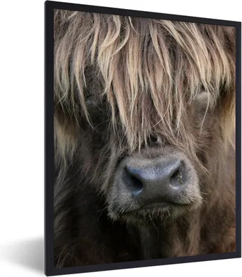 Produktbild von MuchoWow® MuchoWow® Gerahmtes Poster Schottisches Hochlandrind - Braun - Nase 30x40 cm - Poster mit zchwarzem Bilderrahmen - Wanddeko - Kunstdrucke