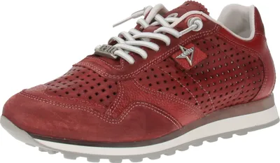 Produktbild von Cetti C-848 EXP V25 - Herren Sneaker - Used-Tin-Burdeos, Größe:41 EU