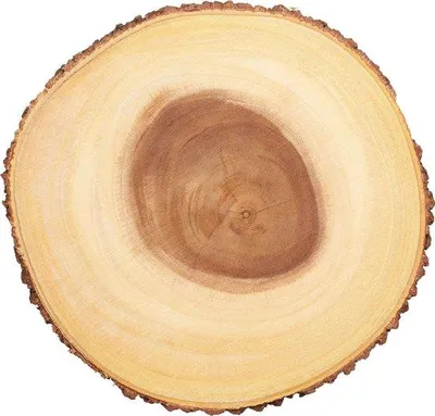 Immagine prodotto di Piatto da portata in legno per torte, dessert, antipasti e buffet 30 cm (11,8")