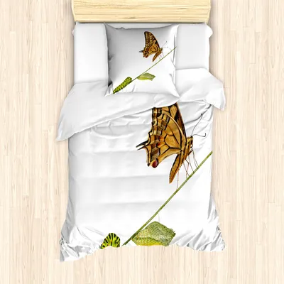 Produktbild von ABAKUHAUS Schwalbenschwanz-Schmetterling Mantele, Life Stages, Milbensicher Allergiker geeignet mit Kissenbezügen, 135 cm x 200 cm - 80 x 80 cm, Pale Braun Grün