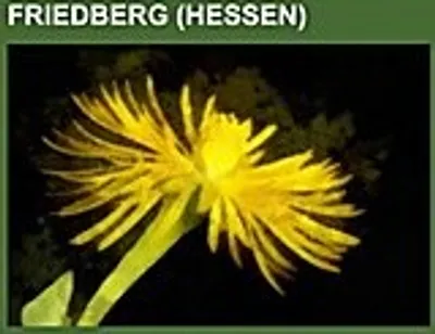 Obrázek produktu pro Friedberg (Hessen)