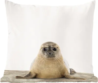 Produktbild von MuchoWow® Zierkissen Sofakissen Wohnzimmer Dekokissen 45x45 cm Robbe - Tiere - Kinder - Jungen - Mädchen - Kinder - Schlafpolster - Polster für das Sofa
