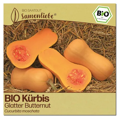 Produktbild von Samenliebe  Kürbis Samen | Glatter Butternut - nussig - samenfestes  Saatgut