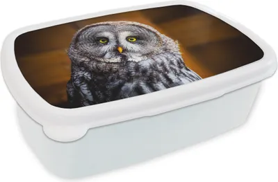 Produktbild von KitchenYeah® Lunchbox Brotzeit Brotdose 17x11 cm Porträt des Lapplandkauzes Kinder Brotzeitdose - Lunch Box - Kinder - Sandwich-Box - Schulbox - Lunch Boxen