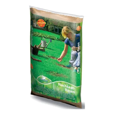 Obrázok produktu pre Kiepenkerl Výsev trávnika Pegasus 10 kg - 622333