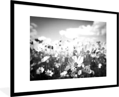 Produktbild von MuchoWow® MuchoWow® Gerahmtes Poster Blumen - Wiese - Lila - Gras - Weiß - Wolken - Blau 90x60 cm - Poster mit zchwarzem Bilderrahmen - Wanddekoration - Fotos