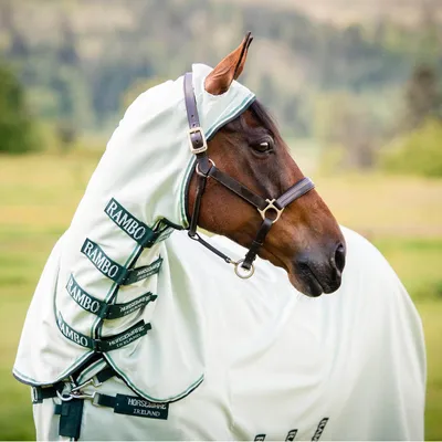 Immagine prodotto di Horseware Ireland Ekzemerdecke Rambo Hoody Verde/Salvia, Beige e Verde 160 (7'0)