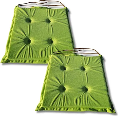 Image de Lot de 2 coussins chaise décoratifs 40x40x3 cm confort antidérapant 1229