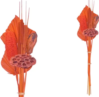 Produktbild von BOHO Trockenblumenstrauß gemischt Little Palm orange 64 cm