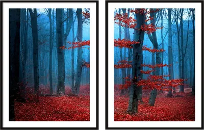 Immagine prodotto di BILDPOSTER IN QUADRO 53x73cm dittico di 2 dipinti foresta incantata P2090