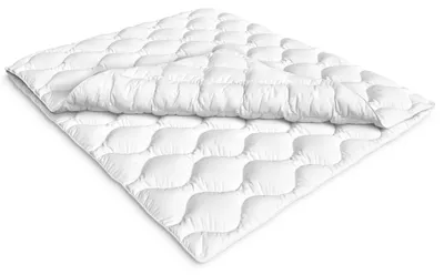 Productafbeelding van 4-Seizoenen Duvet 200 x 220 cm met Aanpasbare Deken