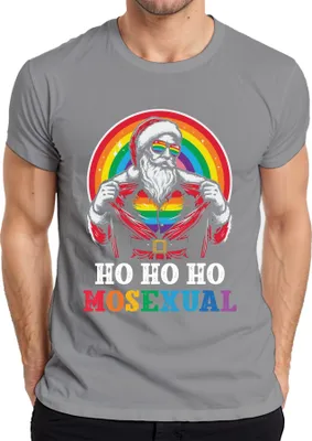 Produktbild von Ho Ho Ho Houal LGBTQ Santa - Weihnachten Weihnachtsgeschenk Christmas Herren T-Shirt, Grau, XL