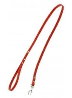 Produktbild von Dingo Lederleine Genietet Rot 1cm 120cm