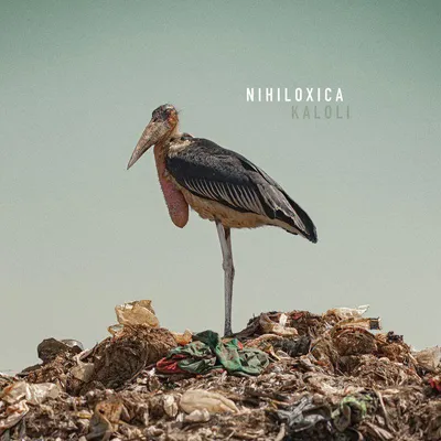 Immagine prodotto di Nihiloxica: Nihiloxica: Kaloli - Crammed - (LP / K)