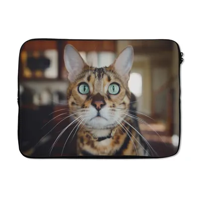 Produktbild von MuchoWow® Laptop Hülle 13 Zoll Katze - Schnurrhaare - Porträt Laptoptasche - Laptophülle - Sleeve - Rundumschutz