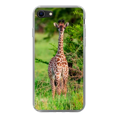 Produktbild von MuchoWow® Handyhülle Schutzhülle Hülle für iPhone 8 Baby - Giraffe - Pflanzen Silikon Softcase Handy Hülle - Schutzhaube