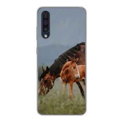 Produktbild von MuchoWow® Handyhülle Schutzhülle Hülle für Samsung Galaxy A30s Pferde - Fohlen - Natur Silikon Softcase Handy Hülle - Karteninhaber