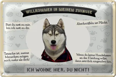 Produktbild von Blechschild Spruch 30x20cm Tiere Haski willkommen wohne hier