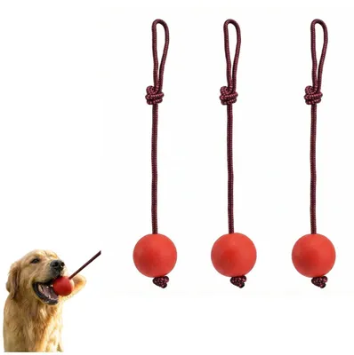 Immagine prodotto di 3 palline da gioco per cani con corda – Giocattolo resistente per masticare